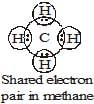 Carbon and its Compounds Class 10 Notes Science Chapter 4